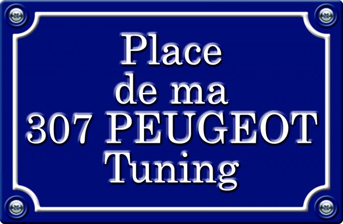 Sticker PLACE DE MA PEUGEOT 307 tuning : Couleur Course