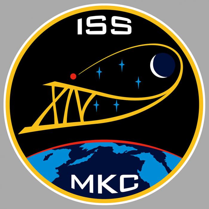 Sticker ISS XIV 14 NASA : Couleur Course