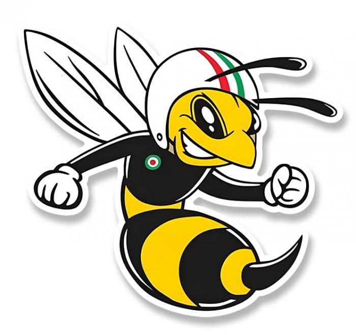 Sticker GUEPE FRELON VESPA HORNET : Couleur Course