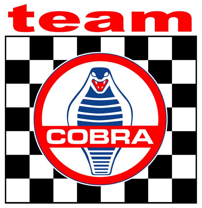 Sticker COBRA SHELBY TEAM : Couleur Course