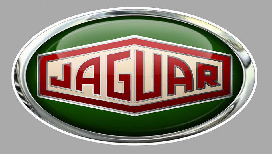 Sticker JAGUAR JA050 : Couleur Course