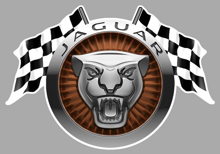 Sticker JAGUAR : Couleur Course