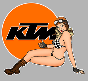 Sticker PINUP KTM PB462 : Couleur Course