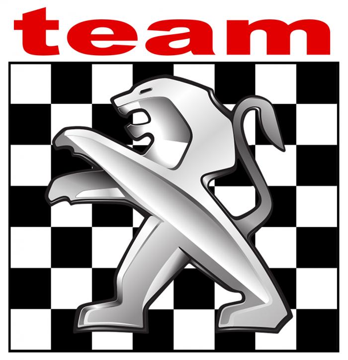 Sticker PEUGEOT TEAM : Couleur Course