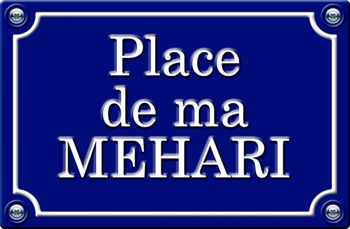 Sticker PLACE DE MA MEHARI : Couleur Course
