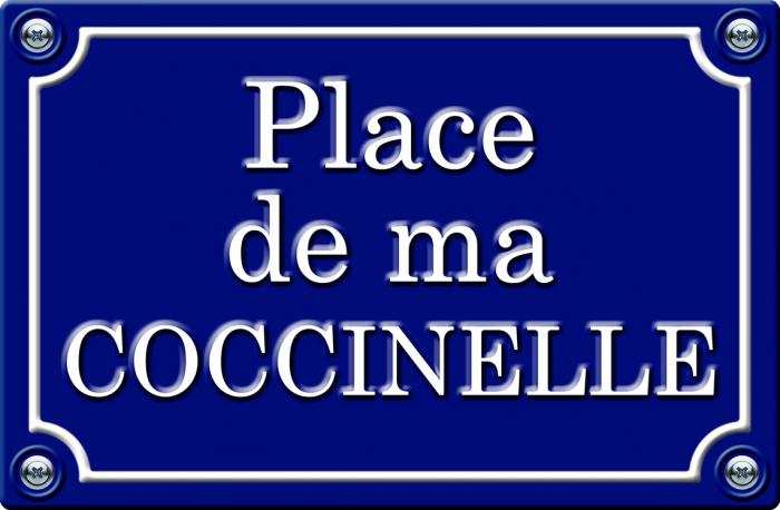 Sticker PLACE DE MA COCCINELLE : Couleur Course