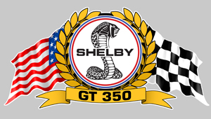 Sticker SHELBY GT500 : Couleur Course