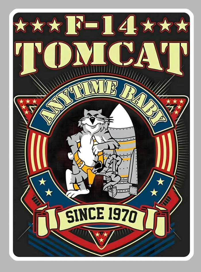 Sticker F14 TOMCAT ANYTIME BABY : Couleur Course